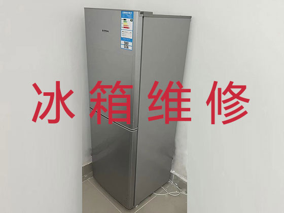 台州维修冰箱服务